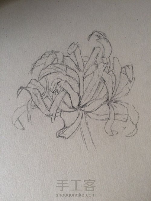 当彼岸花开时(铅笔教程) 第3步