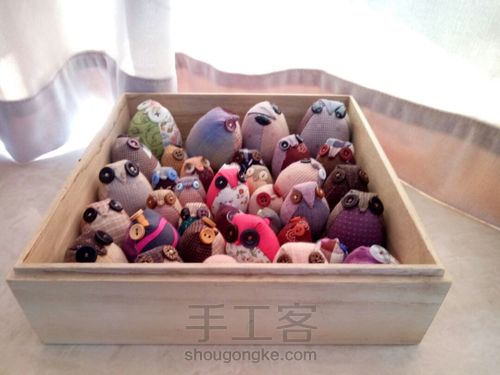 萌萌的猫头鹰 第1步