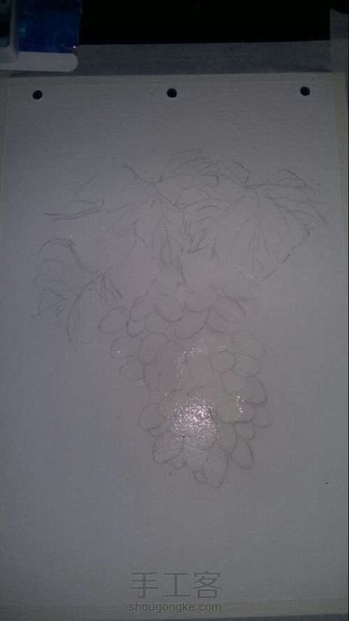 水彩葡萄 第1步