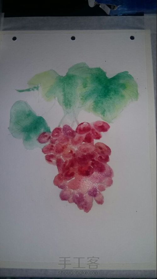 水彩葡萄 第2步
