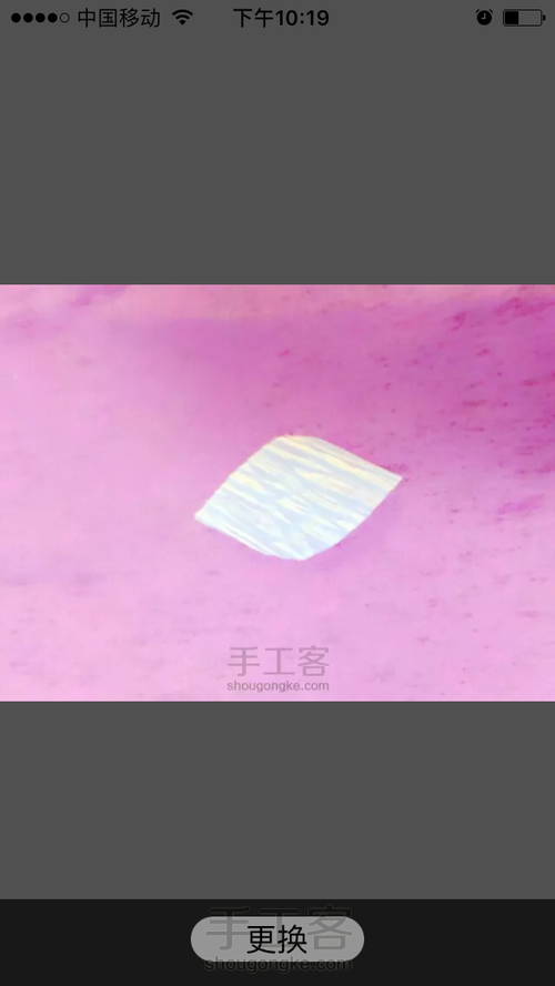 洁白铁丝莲 第4步