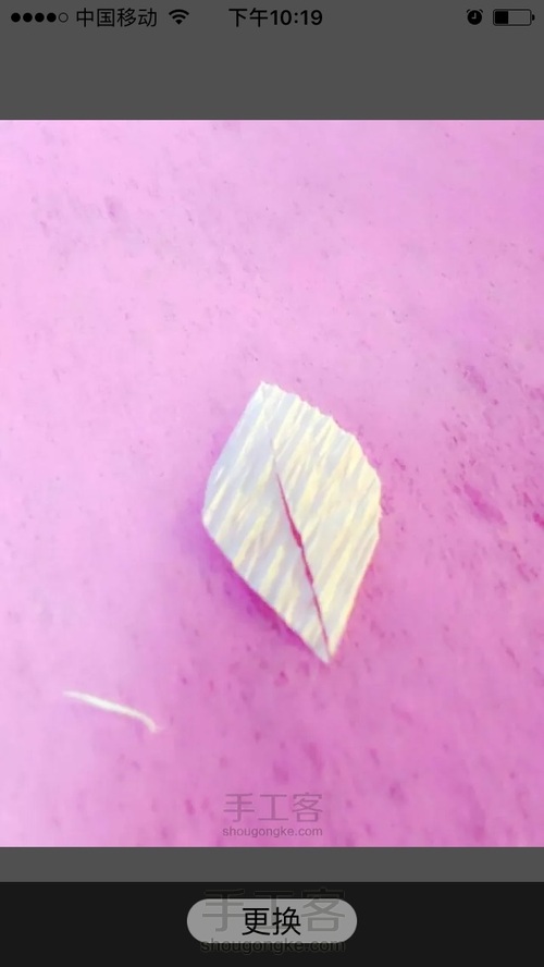 洁白铁丝莲 第5步