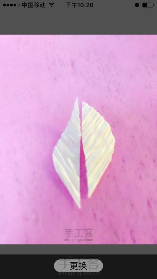 洁白铁丝莲 第6步