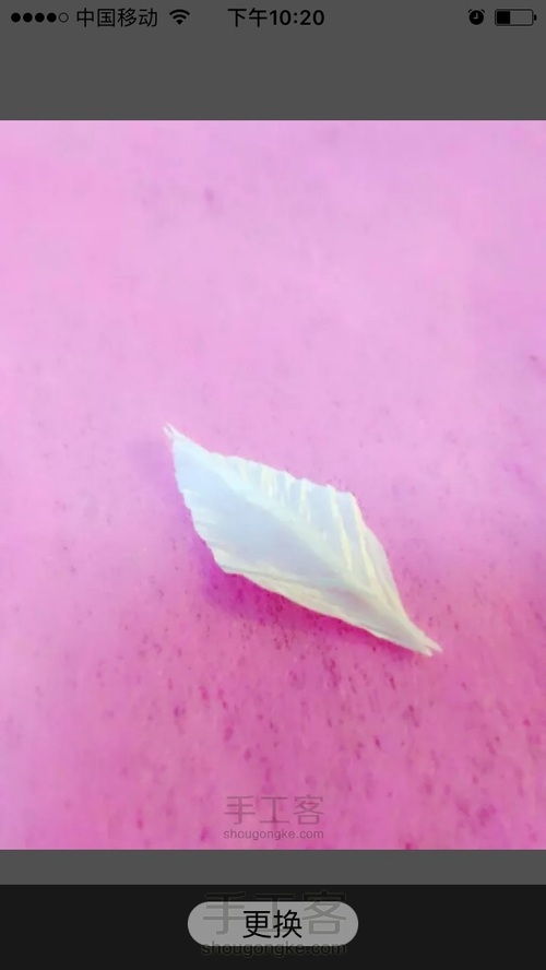 洁白铁丝莲 第7步