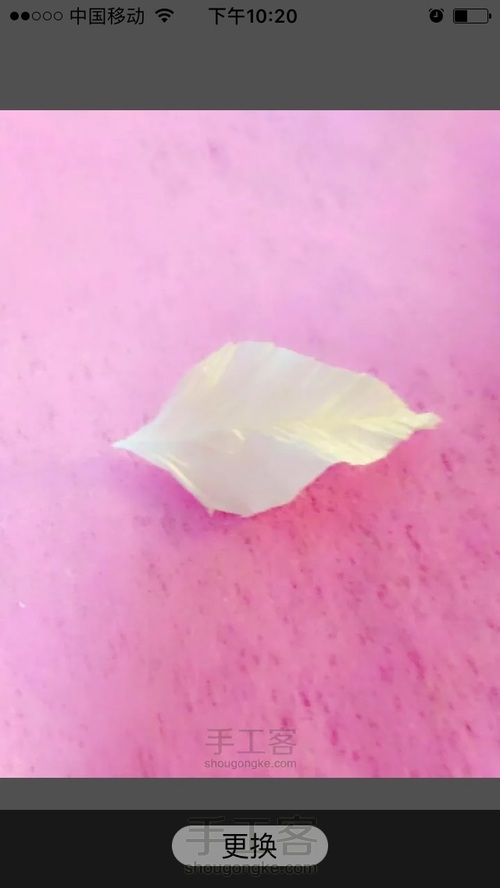 洁白铁丝莲 第8步