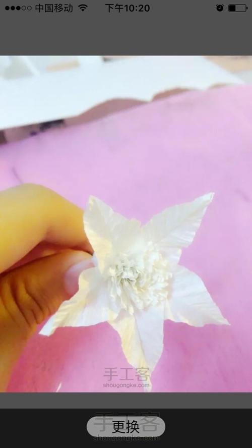 洁白铁丝莲 第9步