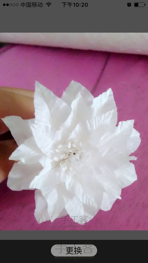 洁白铁丝莲 第12步