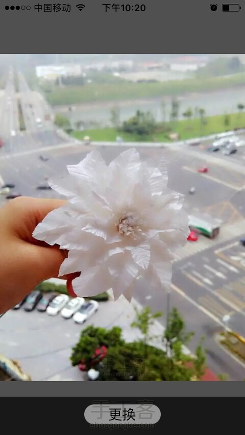 洁白铁丝莲 第13步