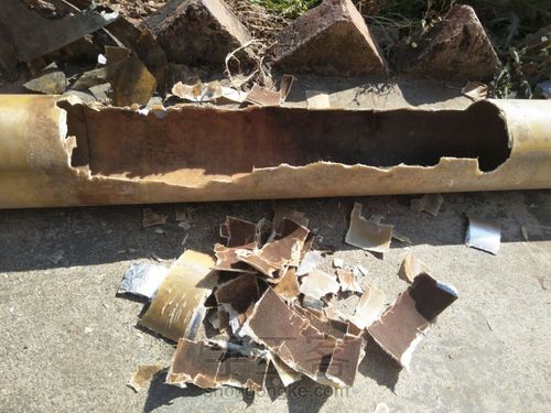 玉蝶玉蝶不开花 第10步