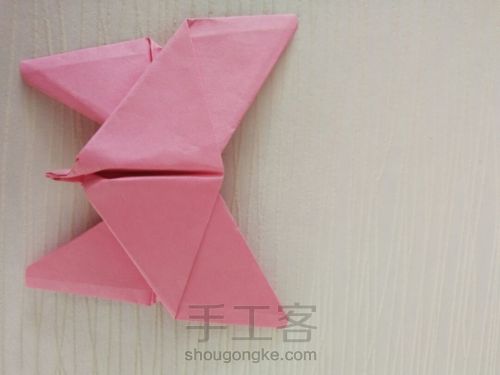 精致简单的折纸蝴蝶（一） 第16步