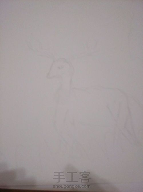 论线描鹿的教程 第1步