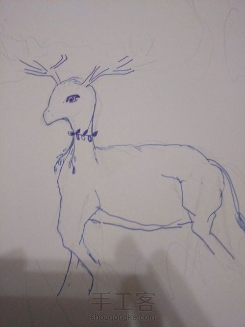 论线描鹿的教程 第2步