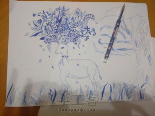 论线描鹿的教程 第6步