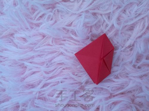 简单的玫瑰小花花 第11步