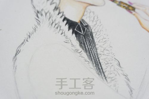 彩铅插画，毛茸茸的豹纹， 第7步