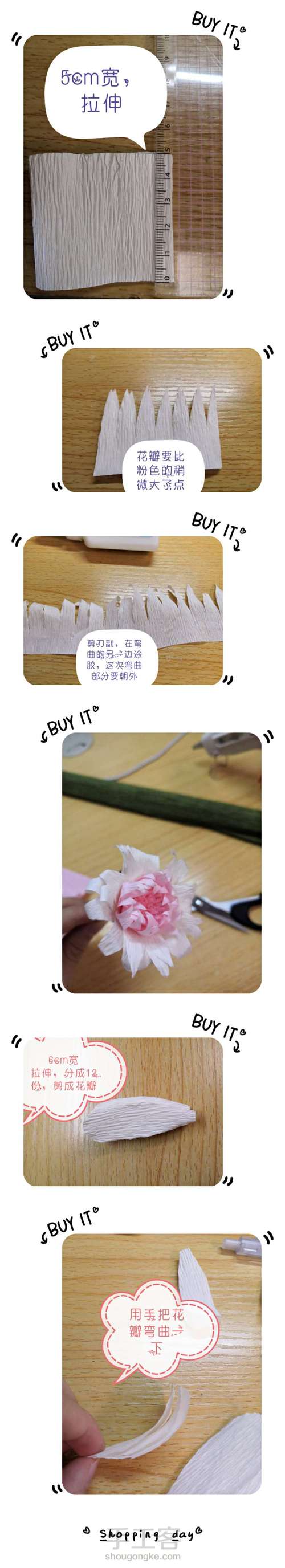 雏菊 第4步