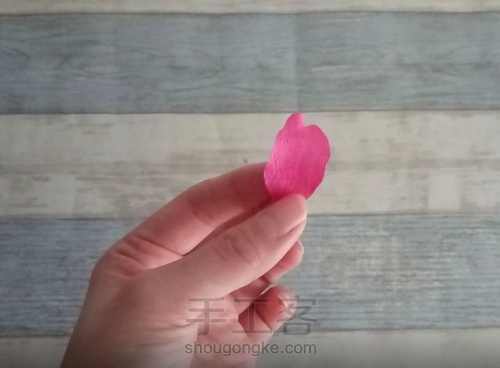 纸藤茶花教程 第5步