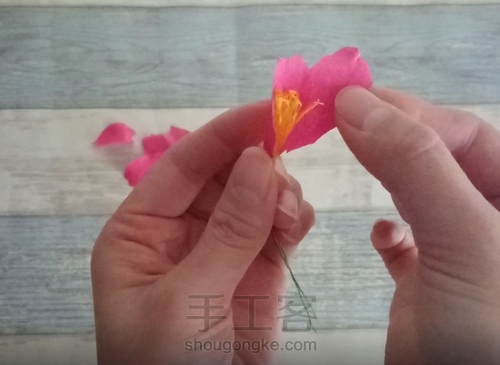 纸藤茶花教程 第6步