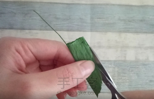 纸藤茶花教程 第8步