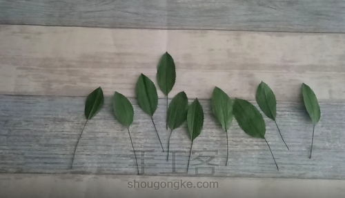 纸藤茶花教程 第9步