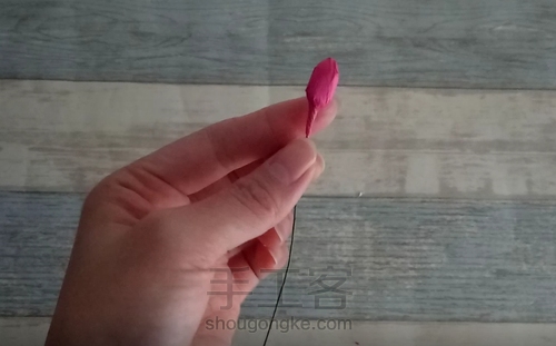 纸藤茶花教程 第11步