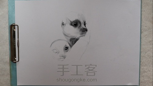 彩铅狐獴 第3步