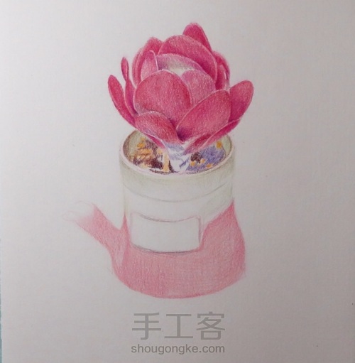彩铅｜多肉_碧桃 第8步