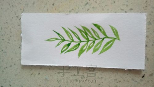 美美哒绿叶书签 第4步