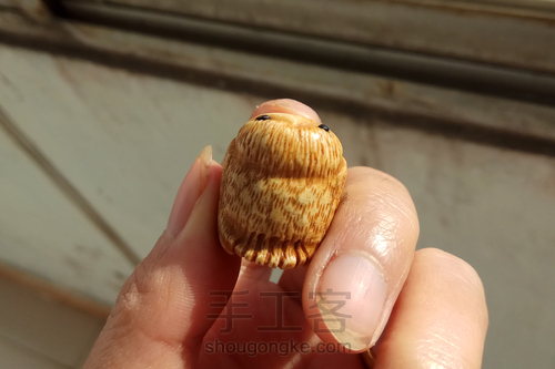 胖麻雀根付 第33步