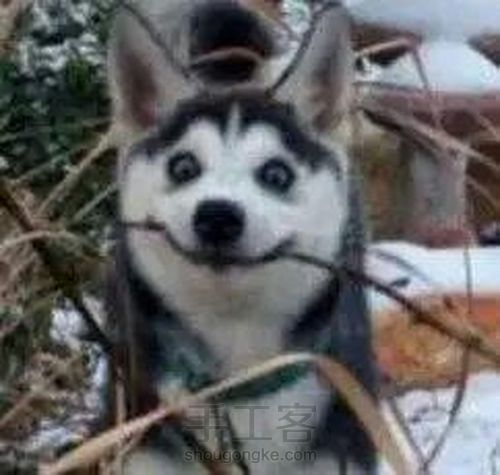 酷酷的资料夹 第16步