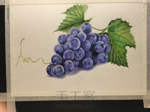 彩铅葡萄一串,希望你喜欢 第9步