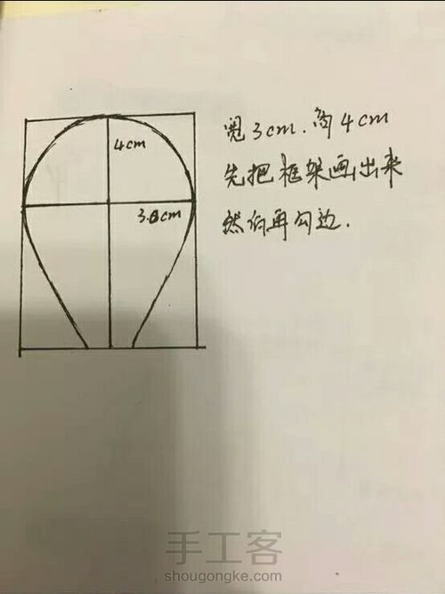 .木芙蓉 第2步