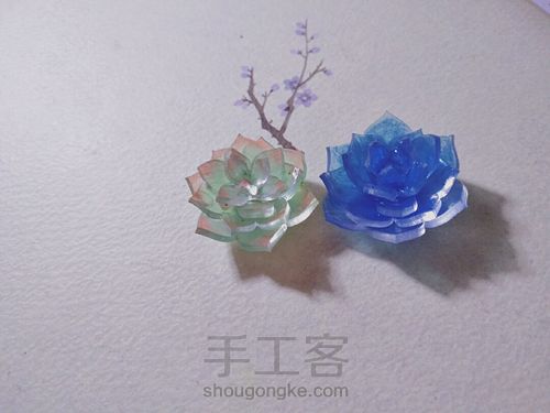 立体热缩 多肉 第11步