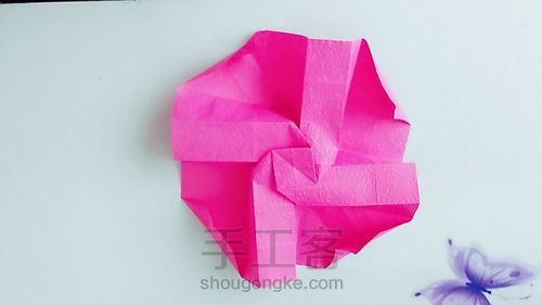 川崎玫瑰 第2步