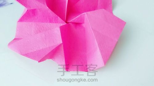 川崎玫瑰 第4步