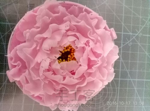 粘土牡丹蝴蝶教程图片 第14步