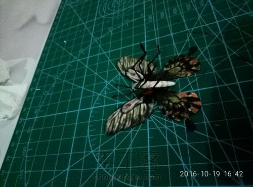 粘土牡丹蝴蝶教程图片 第31步