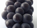 打算做个粘土水果摊。
今天先做第一种水果。
葡萄。