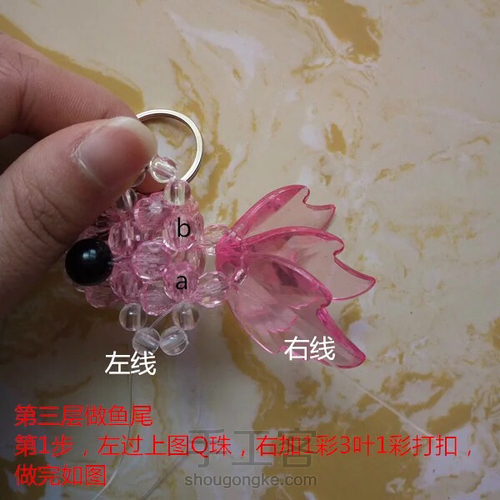 金鱼 第17步