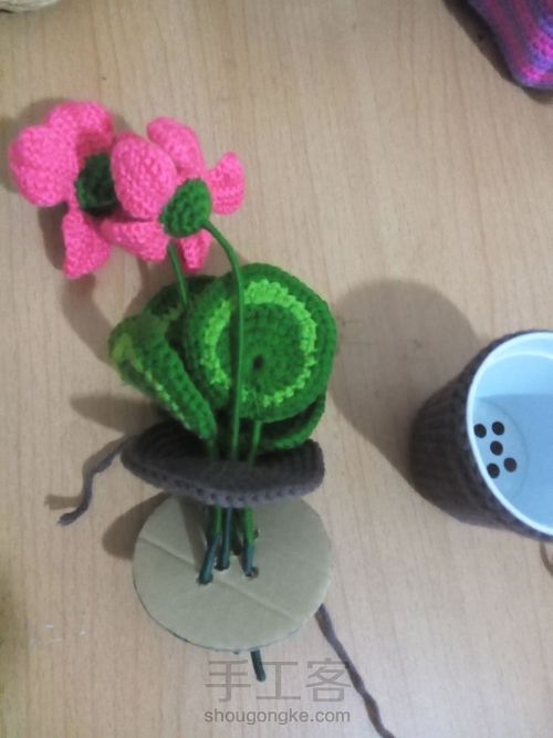 桌面小盆栽 第3步