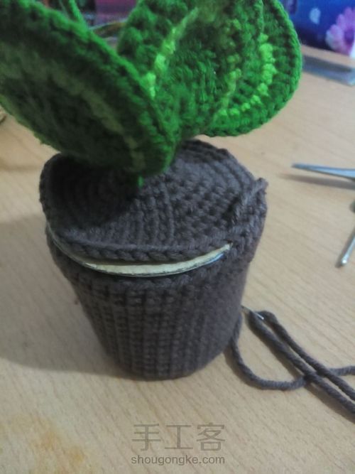 桌面小盆栽 第5步