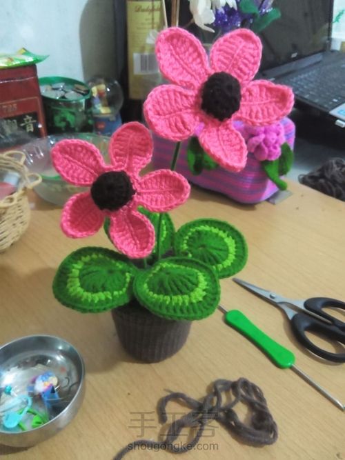 桌面小盆栽 第6步