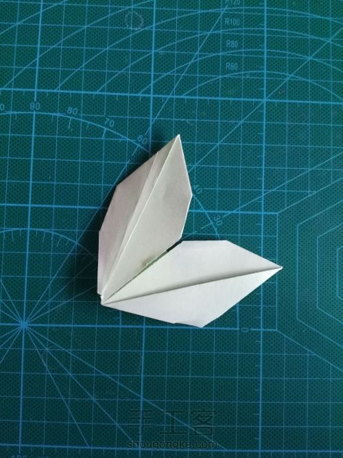 折纸树叶～ 第1步