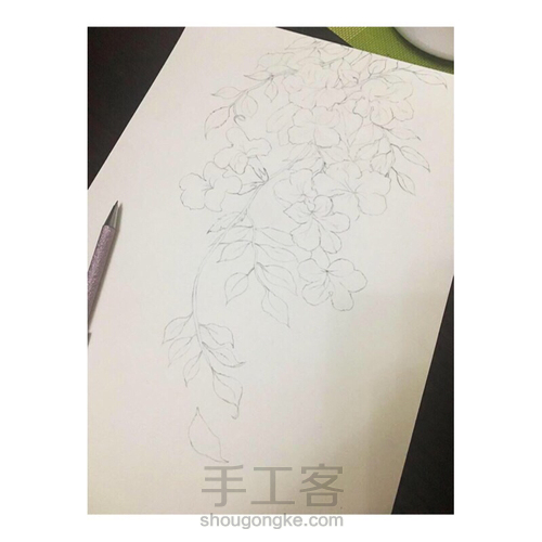 水彩凌霄花 第1步