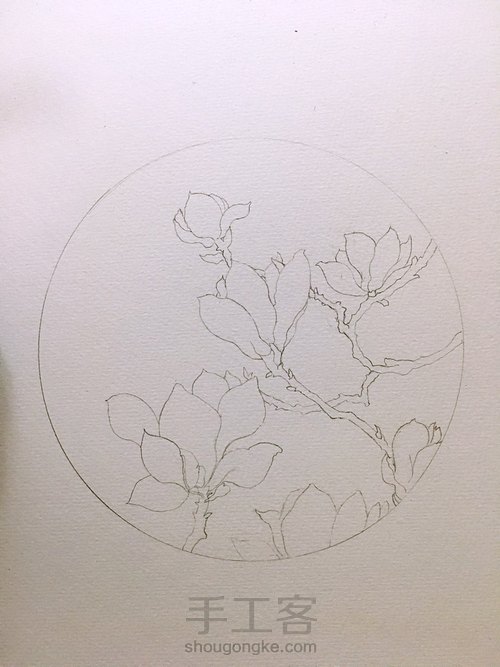 水彩玉兰花开 第2步