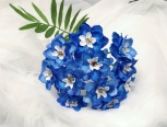 蓝调的花～