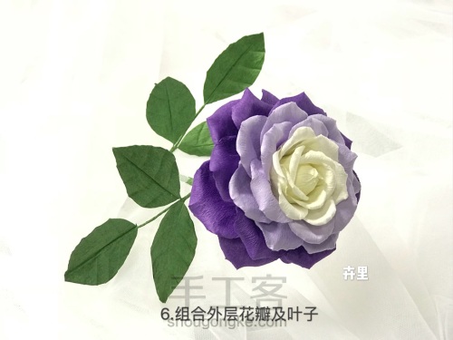 卉里纸艺花 • 渐变紫玫瑰教程 第6步
