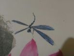 豆娘也是蜻蜓，但和常见的蜻蜓区别挺大的，而且颜色艳丽得像蝴蝶，入画颇美。