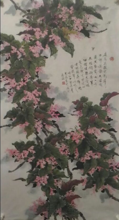 竹节海棠 第10步