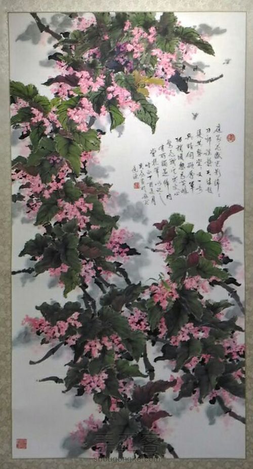 竹节海棠 第11步
